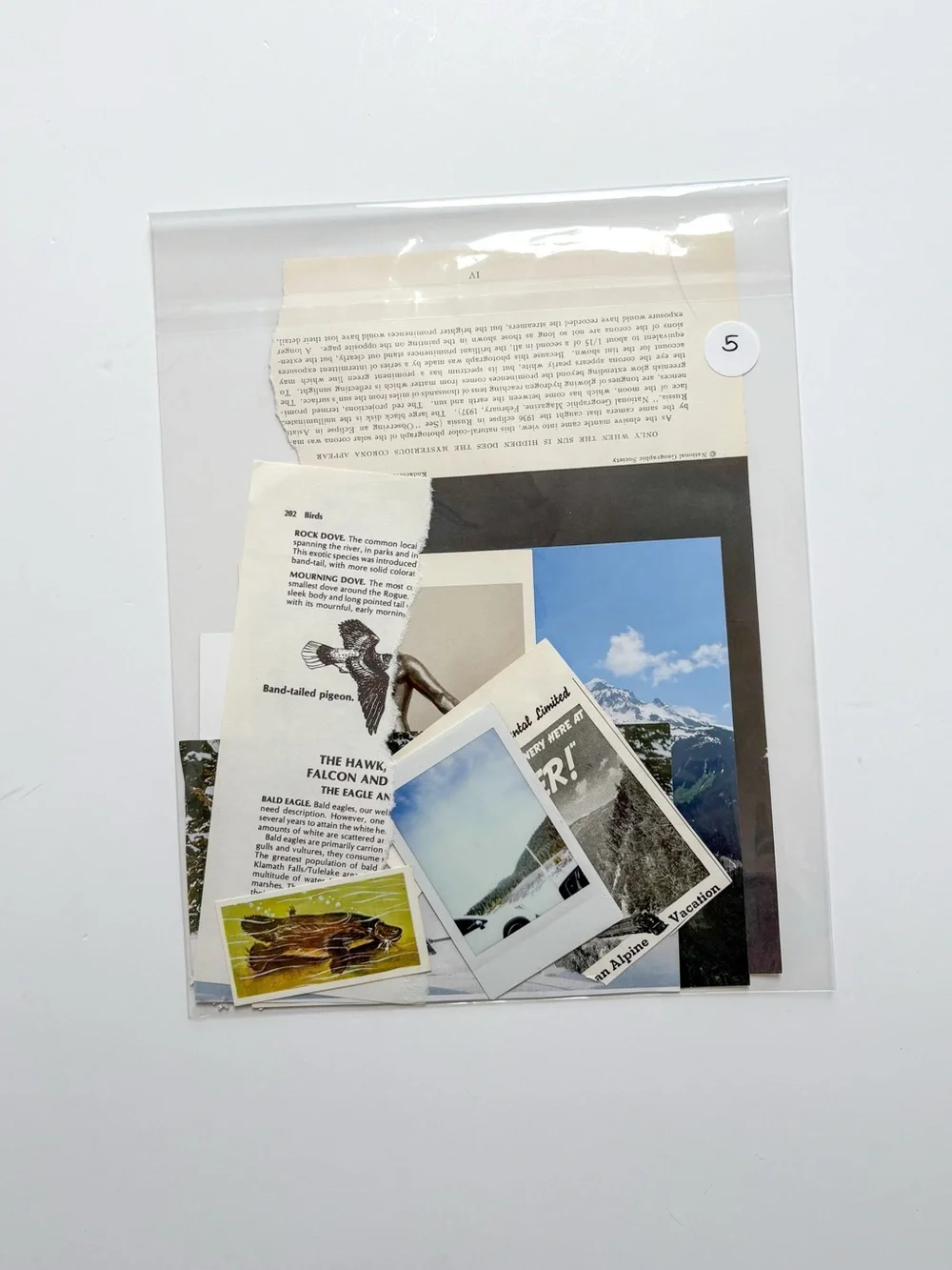Collage Kit - Picture 3 of 3